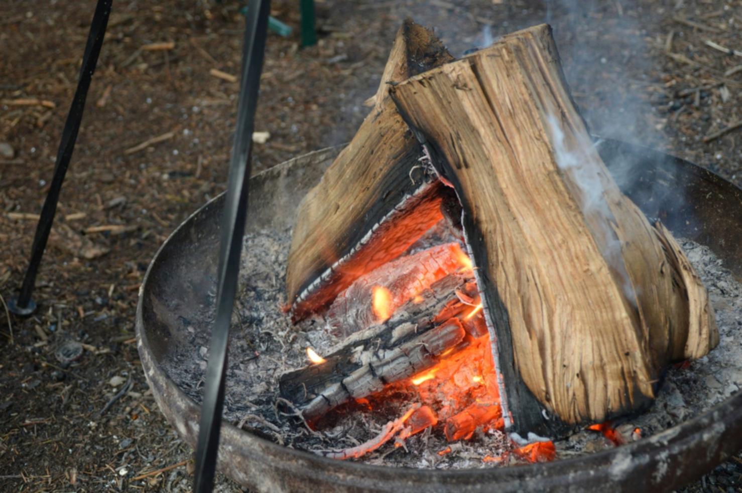 Live online cooking session with instructor demonstrating vegetable preparation techniques